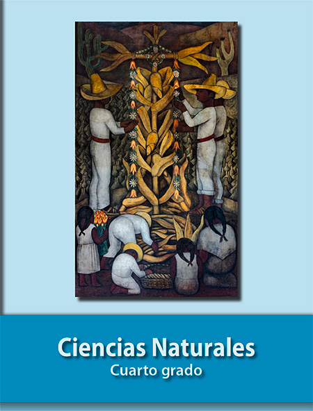 Libro de ciencias naturales cuarto grado primaria