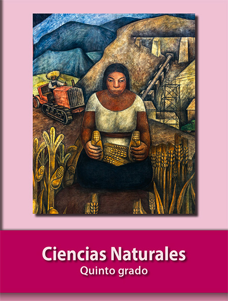 Libro de ciencias naturales quinto grado primaria