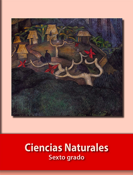 Libro de ciencias naturales sexto grado primaria