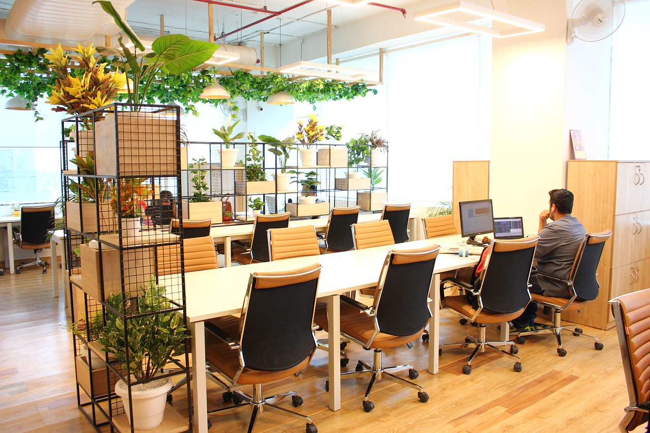 Oficina moderna colaborativa con escritorios compartidos, sillas ergonómicas y plantas decorativas que aportan un ambiente fresco y luminoso.